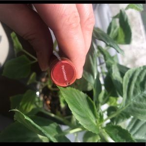 Persimmon Lipsense